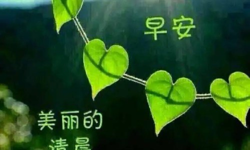 一般食物叶酸含量是多少-权威食物叶酸含量表平台,分享专业一般食物叶酸含量是多少知识_一般食物叶酸含量网